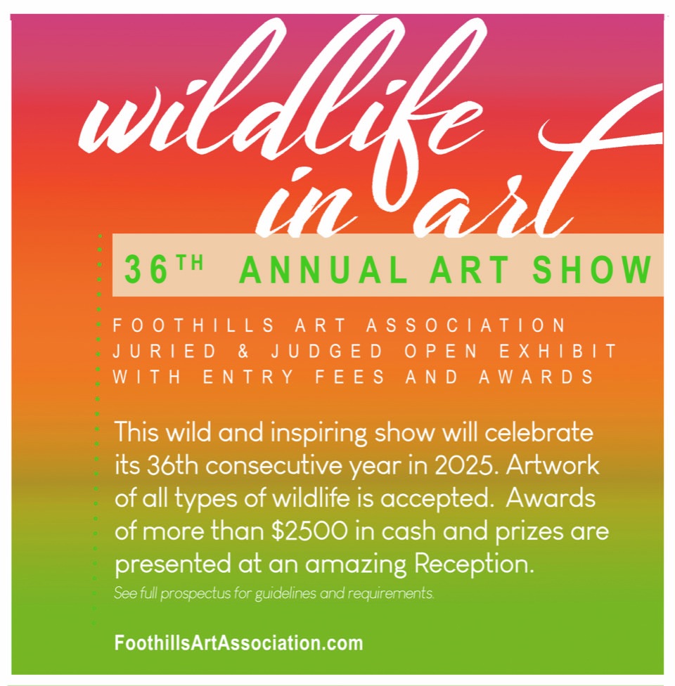 Banner for Wildlife in Art